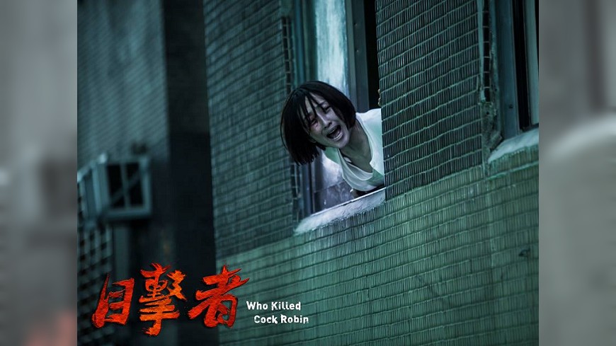 《目击者之追凶》海报第1张图片 《目击者之追凶》海报第1张图片
