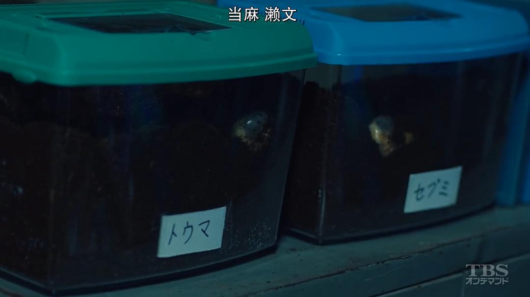 《SICK'S恕乃抄~内阁情报调査室特务事项専従系事件簿~》剧照第10张图片 《SICK'S恕乃抄~内阁情报调査室特务事项専従系事件簿~》剧照第10张图片